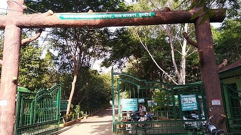 Survey finds rare butterfly species at Indore's Ralamandal Wildlife Sanctuary