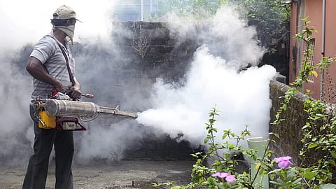 Knocksense Shorts | Fogging, other anti-viral activities carried out as dengue cases surge in UP