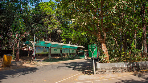 Planning a one-day trip this weekend? Consider Mumbai's iconic Sanjay Gandhi National Park!