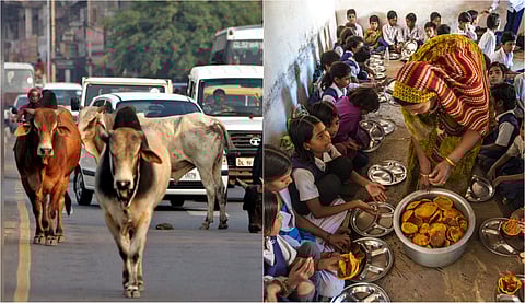 Oct 12 Lucknow News Roundup | Doctors' retirement age changed, relocation of stray cattle & more