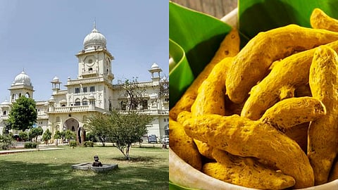 Botanists at Lucknow University discover new disease in turmeric that threatens its cultivation