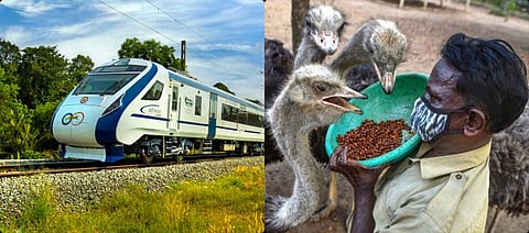 Ahmedabad News Roundup| Special Vande Bharat trains during matches, AMC to outsource zoo jobs & more