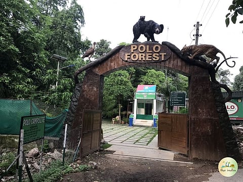 A winter odyssey: Road tripping from Ahmedabad to Polo Forest