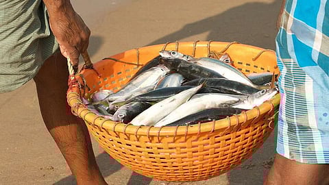 Knocksense Shorts | UP to be awarded as the 'Best State in Pisciculture' on World Fisheries Day