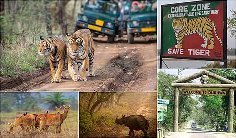 Post-Diwali Getaway from Lucknow! Katarniaghat & Dudhwa wildlife sanctuaries to open from Nov 15