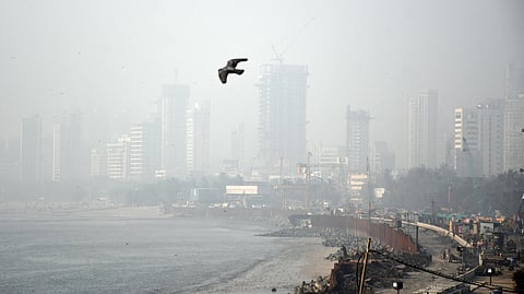 Mumbai's December Air Quality cleanest in 4 years; chilly weather expected in January