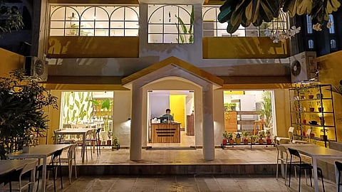 Ahmedabad's Crazy Plant Lady Cafe is a paradise for plant lovers and health-conscious foodies alike!