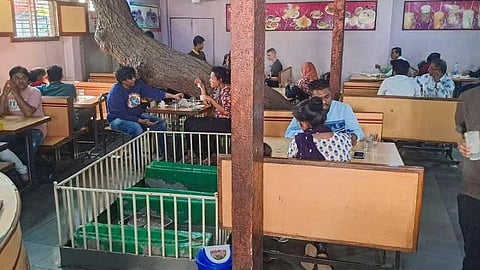 Tea amidst tombs: The fascinating story of Lucky Tea Stall in Ahmedabad