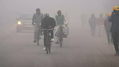 Knocksense Shorts | Schools closed, timings changed in UP due to dense fog