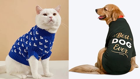Cute & cozy: This winter, dress your furry friends in style with these snug pet clothing options