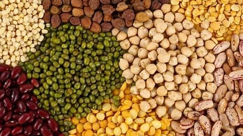 Pulse Machinery Expo to be held in Indore city from February 2 to February 4