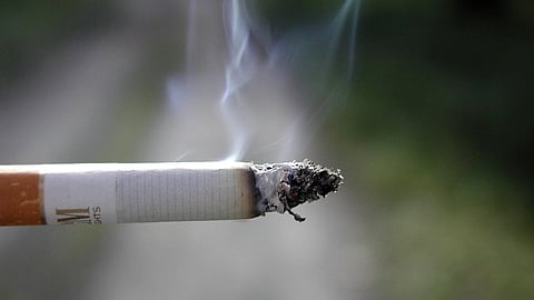 Knocksense Shorts | Study finds 'Cytisine' can aid in quitting smoking far effectively than nicotine
