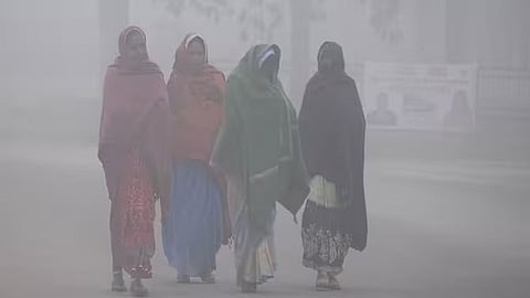 Knocksense Shorts | Indore faces second coldest day as night-time lows dip below 10 degrees