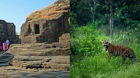 Vidisha and Pench National Park