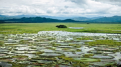 Celebrating World Wetlands Day: Recognizing the lifelines of our planet