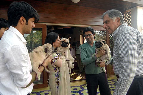 For paws, whiskers, wings & more! Mumbai to welcome one of 'India's largest animal hospitals'