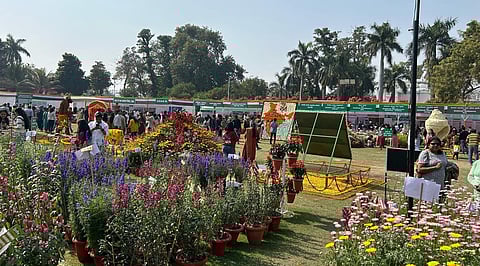 In Pics | Flower Show 2024 at Raj Bhawan enthralls visitors; last day to visit today