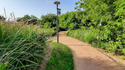 Take a breather at THIS 'mini jungle' of Ahmedabad - Symphony Forest Park