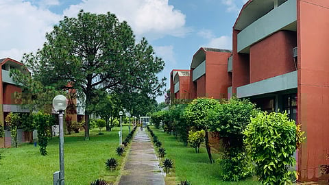 Lucknow's CSIR-CIMAP launches mobile app to help farmers with crop-related challenges