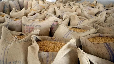 Three-day Dal Processing Machinery Expo in Indore to kick off from February 2