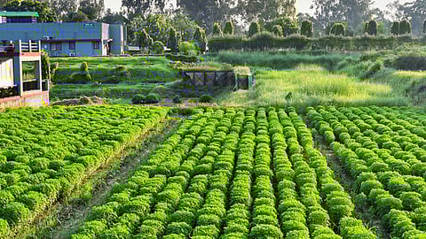 Representational image.