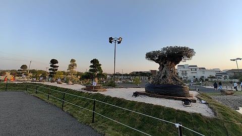 In pics | AMC's Bonsai & Topiary Exhibition enchants visitors; 10th March last day to visit