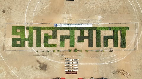 Maharashtra Forest Dept 'writes' with 65,724 saplings at Tadoba Festival; sets world record