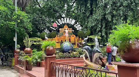 Here's how Lucknow Zoo is shielding animals from extreme heat