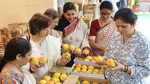 Mango Jatra 2024 in Indore: A perfect blend of flavours and sustainability!