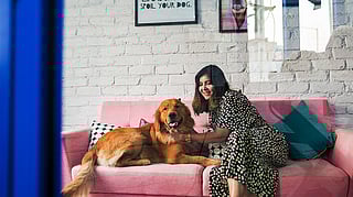 Sip, Snack, & Snuggle: 6 pet-friendly cafes in Ahmedabad for a day out with your fur baby!