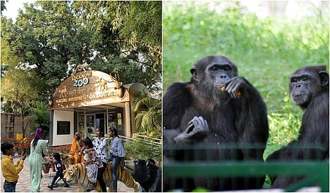 Lucknow Zoo reduces animal adoption tariffs; adoption begins at ₹25/day