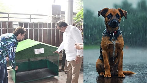 Mumbai's first-ever Monsoon Shelters for stray animals installed across Bandra, Khar & Santacruz
