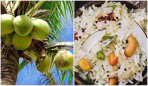 World Coconut Day: Infuse your meals with the richness of coconut with THESE 5 Indian recipes!