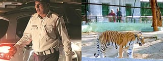 Ahmedabad News| Kankaria Zoo celebrates Wildlife Week, 1,000+ traffic cops on Navratri duty & more