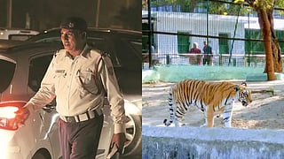 Ahmedabad News| Kankaria Zoo celebrates Wildlife Week, 1,000+ traffic cops on Navratri duty & more