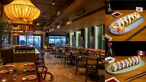 Head to Eight at Palassio Mall for an epic World Sushi Festival with eight global flavours!