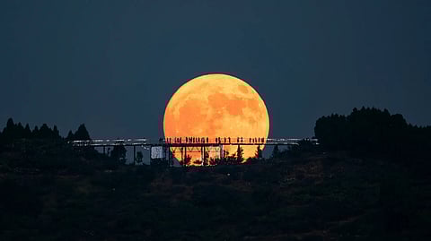 Image for Representation