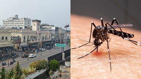 Oct 22 Lucknow News Roundup | New 'Shakti Upvan' in Akbar Nagar, rising dengue cases & more