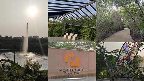 Breathe clean & easy! Here's why Ahmedabad's Monte Carlo Oxygen Park should be on your list
