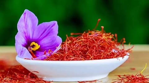 Breaking geographical limits, Lucknow's Hemant Srivastava grows saffron with aeroponics method
