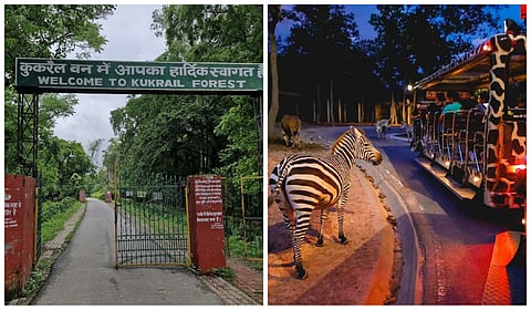 Lucknow's Kukrail Night Safari on track for 2026 launch; Here's what's in store: