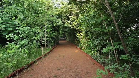 Ahmedabad to get a new oxygen park with 75,000+ trees and plants | Know key features