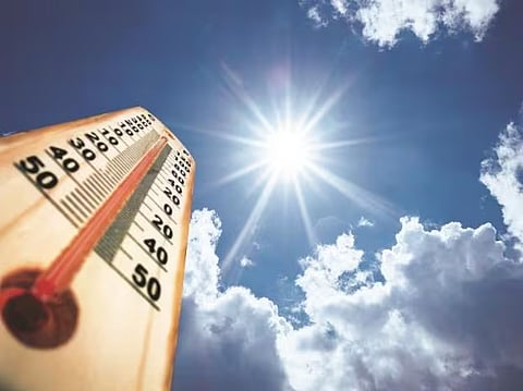 India records second-warmest November in 123 years; 2024 might be the hottest year EVER, globally