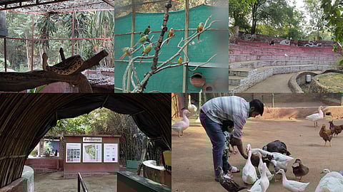 Venture beyond concrete jungles! Feed birds, observe wildlife & more, at Ahmedabad's Sundarvan