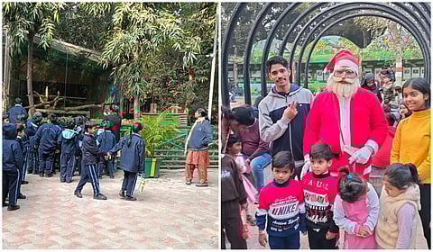 Knocksense Shorts | Lucknow Zoo welcomes 12,000 visitors on Christmas Day