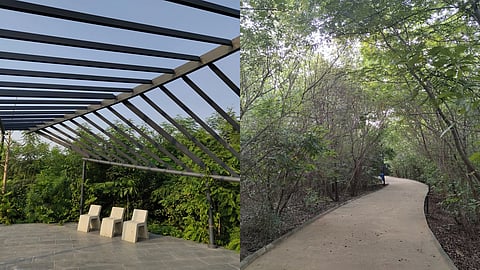 Ahmedabad's South Bopal gets new Oxygen Park; to improve air quality and promote well-being