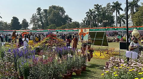 Showcasing stunning floral displays, Lucknow's Raj Bhavan to host annual flower show between Feb 7-9