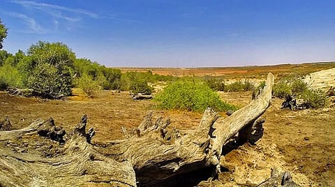 Guneri village in Kutch declared the first-ever 'Biodiversity Heritage Site' of Gujarat!