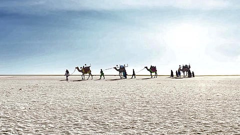 270 km from Ahmedabad: 3,000-YO shorebird footprints uncovered in Kutch hint at dried-up water body