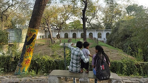 Witness Asiatic lions, white tigers, bears & other wildlife at one of Ahmedabad's oldest zoos!